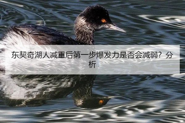 东契奇湖人减重后第一步爆发力是否会减弱？分析
